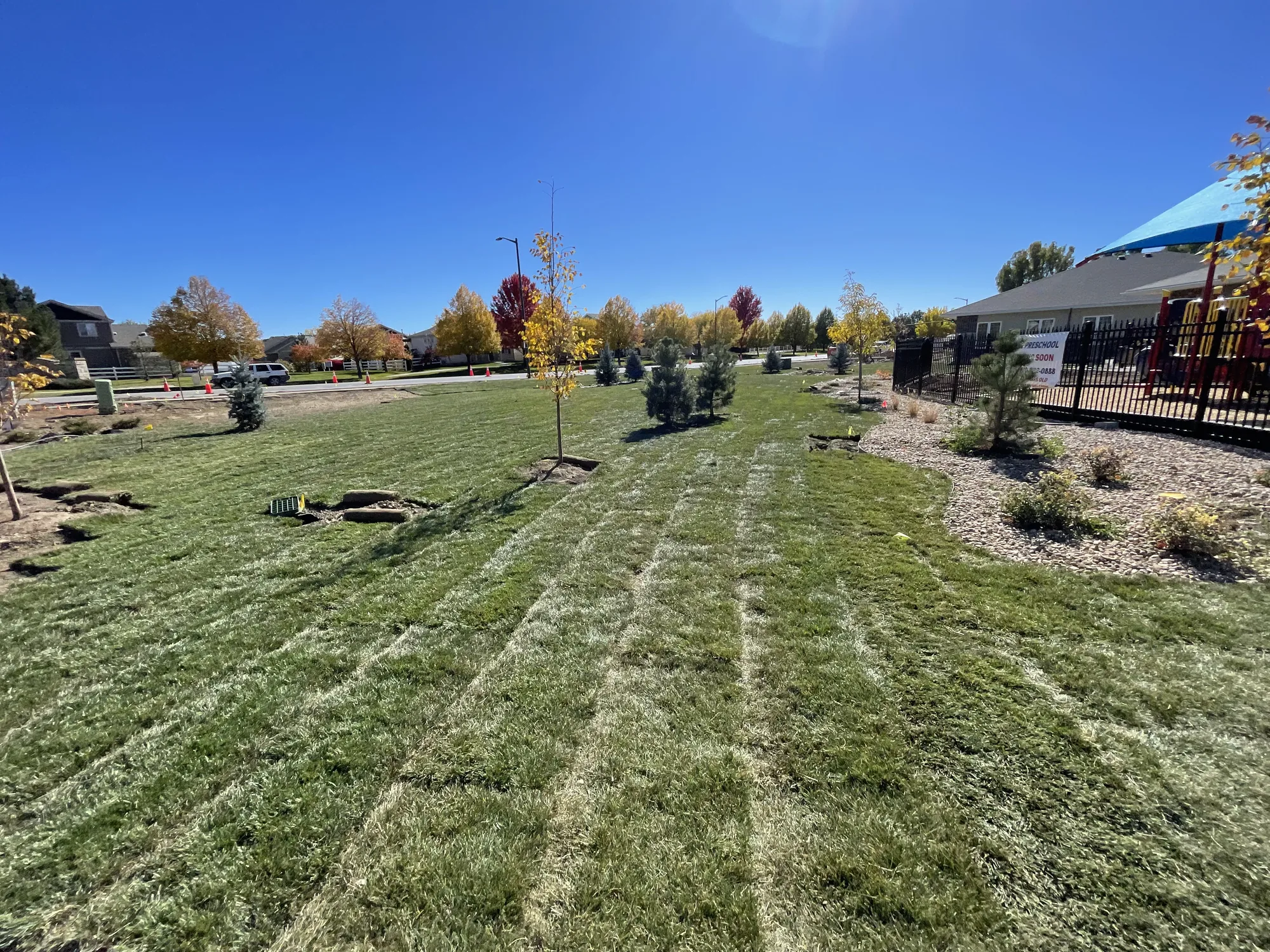 Fresh sod installation across a large residential lawn
