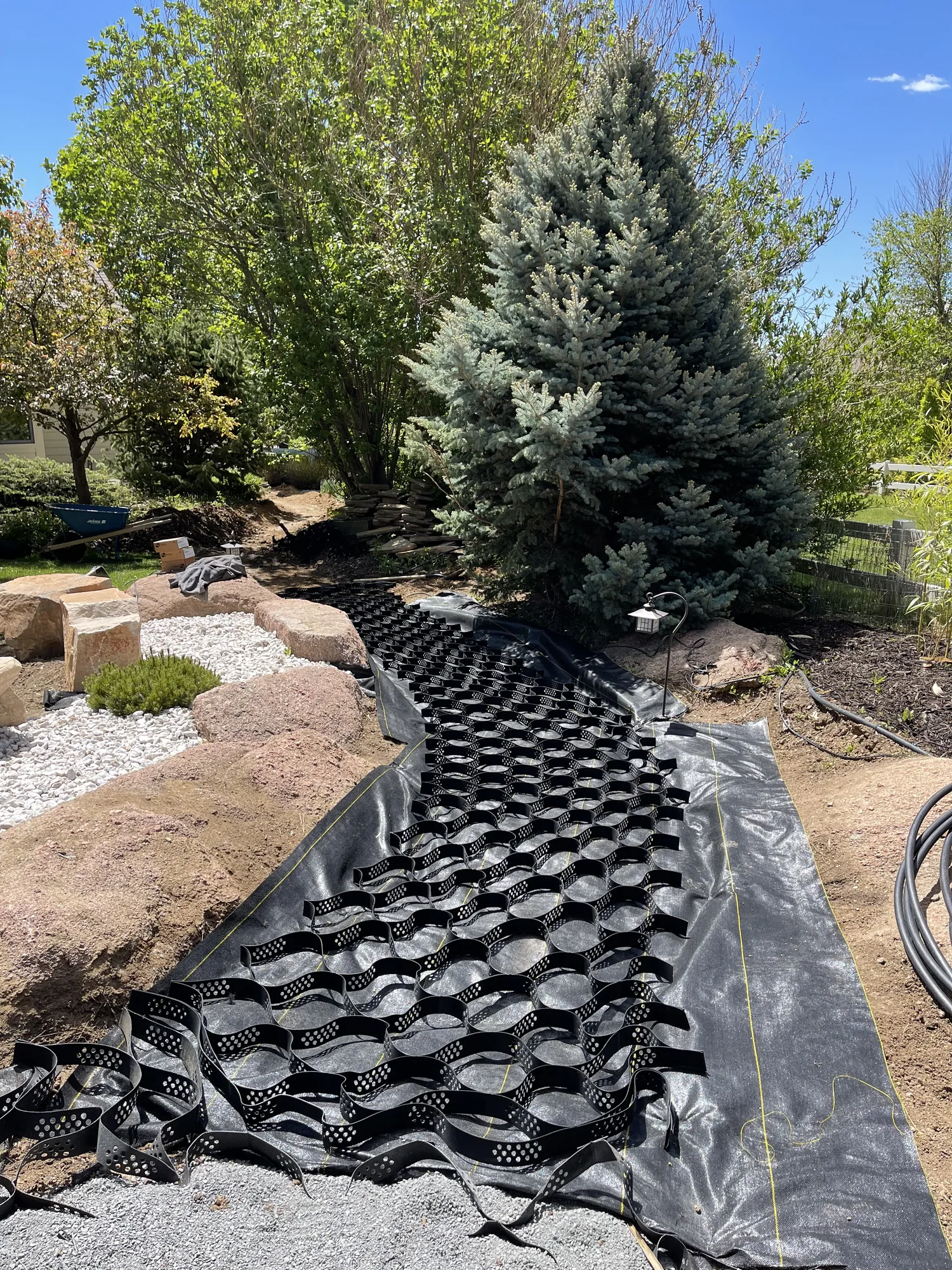 Subsurface drainage cells installed around a specimen tree