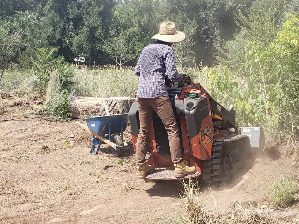 Walk-behind trencher cutting through a landscape bed