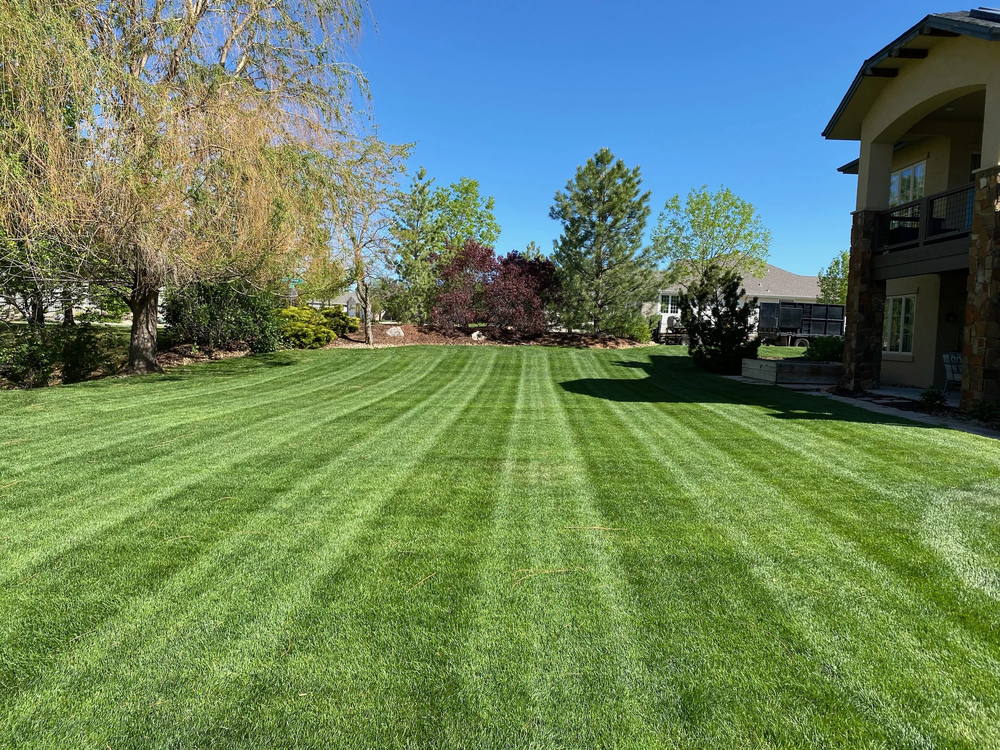 Freshly maintained estate lawn with striped mowing pattern